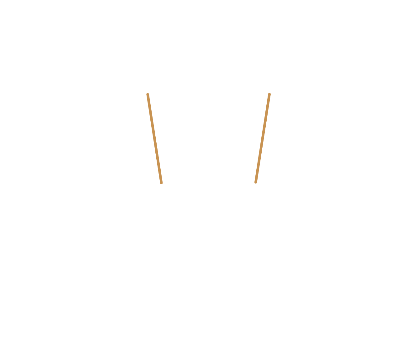Avocats Wibault